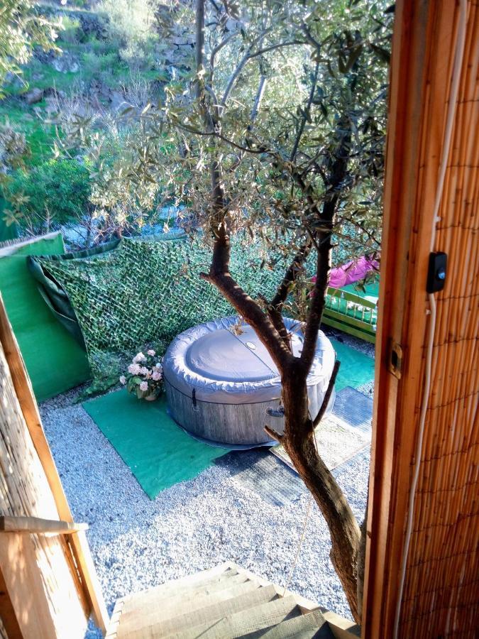 Treehouse ,Casa Arbol, With Spa Algarrobo Extérieur photo
